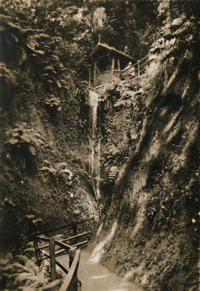 シャンクリンチャイン、IW、c1920。 作： Unbekannt