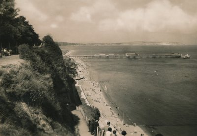 Applew Steps、c1920出身のシャンクリン、IW。 作： Unbekannt