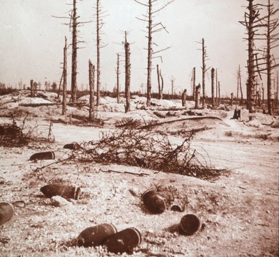 シェル、ベルダン、フランス北部、c1914-c1918 作： Unbekannt