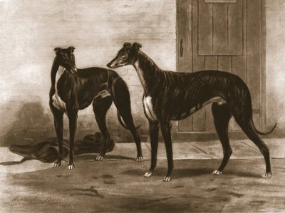 Simonian and Fullerton、c1891、1911。 作： Unbekannt