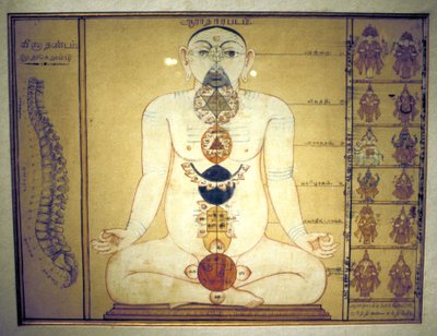 人体の神経叢を表す 6 つのチャクラ、タンジョール、タミル ナードゥ州、c1850 作： Unbekannt