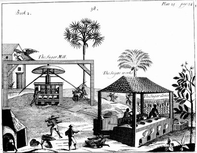 西インド諸島における砂糖プランテーションの奴隷労働、1725年 作： Unbekannt
