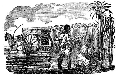 1833年、ルイジアナ州でサトウキビを収穫する奴隷 作： Unbekannt