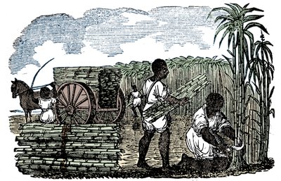 1833年、ルイジアナ州でサトウキビを収穫する奴隷 作： Unbekannt