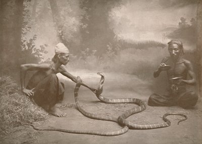 ハマドリャッドとスネークチャーマー、クイコブラ、1900年。 作： Unbekannt