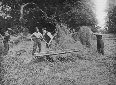 1915年に干し草に乗って農民を支援する兵士 作： Unbekannt