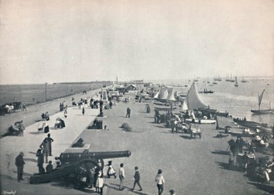 サウスシー-ビーチの概観、1895 作： Unbekannt