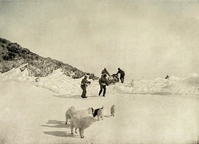 ケープロイズ、1908年、1909年からの西部党の始まり。 作： Unbekannt
