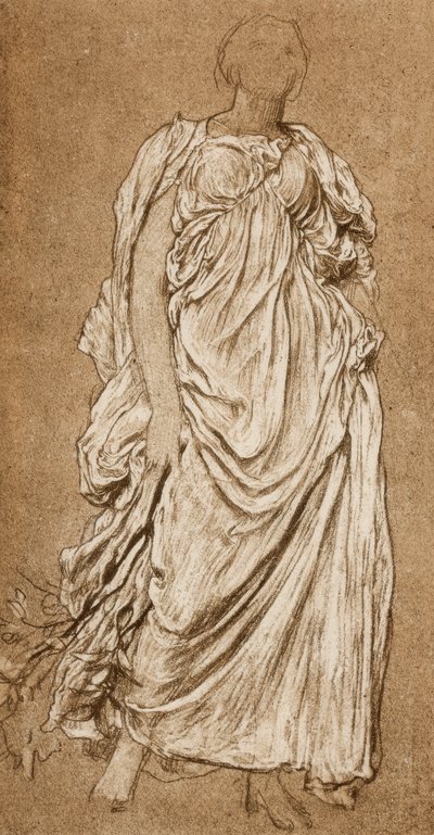 ダフネフォリアの研究、c1874-1876 c1880-1882 作： Unbekannt