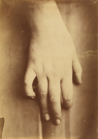 手の習作、1865年。 作： Unbekannt