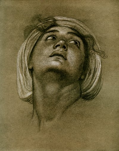 頭の研究、1901 作： Unbekannt