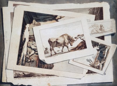 図面と版画の研究 作： Unbekannt