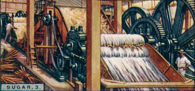 砂糖、3。杖をつぶす、ジャワ、1928 作： Unbekannt