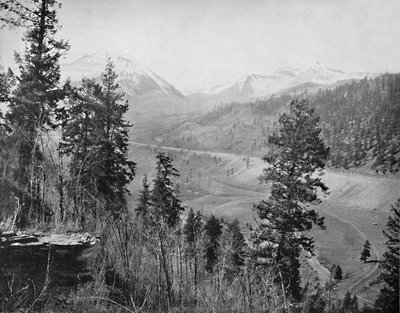 サンシャインパークとウィルソン、c1897。 作： Unbekannt