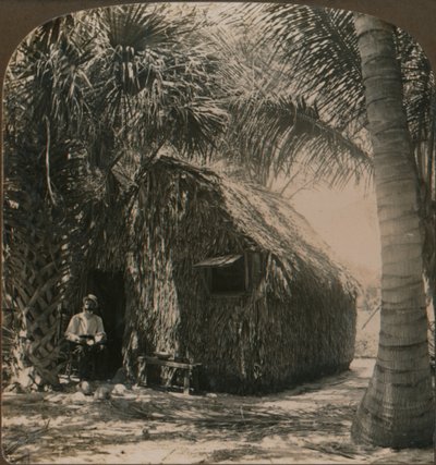 ココナッツグローブ、フロリダ州、アメリカ合衆国、c1900のわらぶき屋根のコテージ 作： Unbekannt