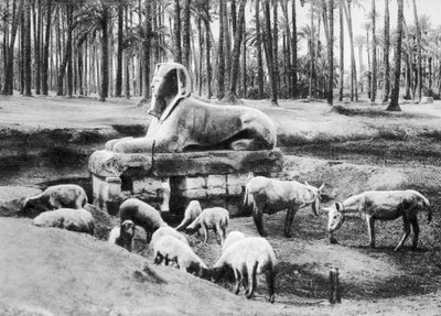 アラバスタースフィンクス、カイロ、エジプト、c1920s 作： Unbekannt