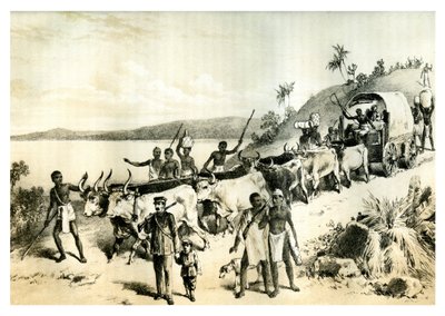 ヌガミ湖に到着、1883年 作： Unbekannt