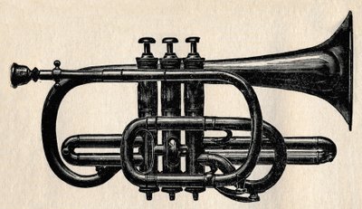 コルネット、1910年。 作： Unbekannt