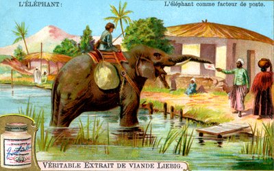 郵便配達としての象、c1900 作： Unbekannt
