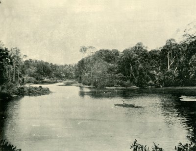 Ennoggera貯水池、1901年。 作： Unbekannt