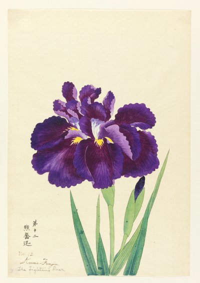 闘うクマ（クマファンジン）」第12号 1910年頃 作： Unbekannt