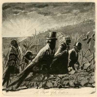 ツバメの飛行、1882。 作： Unbekannt