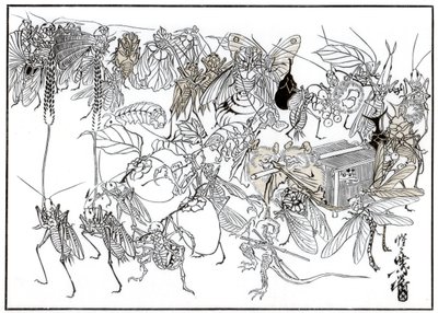 昆虫ダイミオコルテジェ、1878年1886年 作： Unbekannt