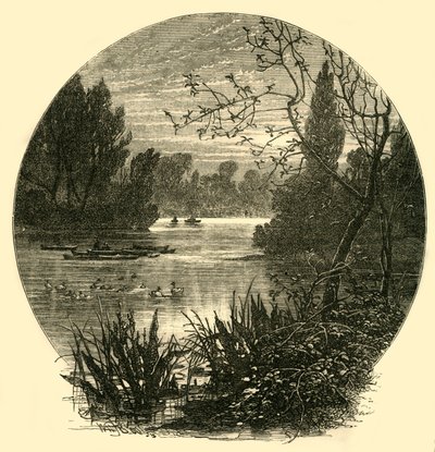 湖、バタシーパーク、c1878。 作： Unbekannt