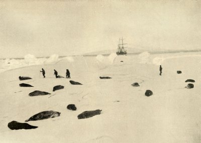1909年3月4日のPramポイントのニムロッド 作： Unbekannt