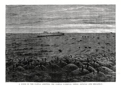 パンパス鉄道、南アメリカの低地、1877 作： Unbekannt