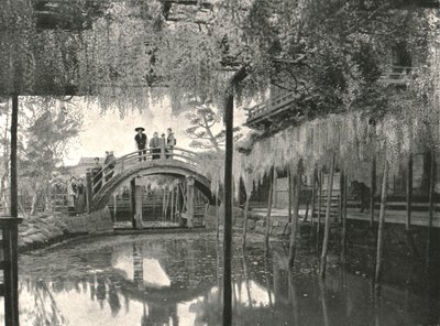 The Shinji-No-Ike Pond and wisteria, Kameido, Tokyo, Japan, 1895.  作： Unbekannt