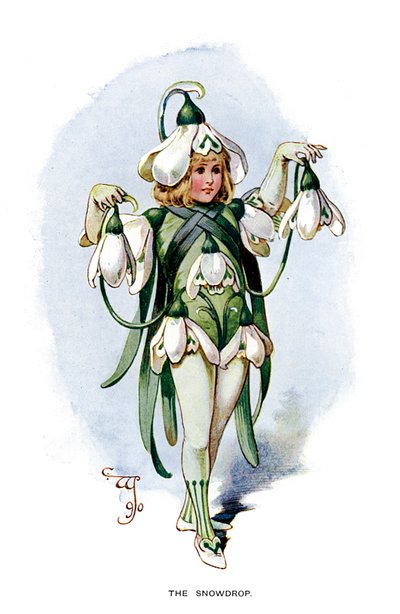 スノードロップ、1899年 作： Unbekannt