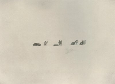 1908年、1909年に南部党がホワイトアンノウンに進軍。 作： Unbekannt