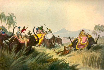 タイガーハント、c1808、1901。 作： Unbekannt