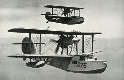 ビッカースアームストロングウォーラス、1941年。 作： Unbekannt