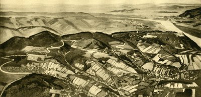 Wienerwald Road、ウィーン、オーストリア、c1935。 作： Unbekannt