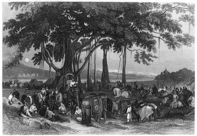 インド、シーク不規則騎兵隊の偶発力の到着、c1860 作： Unbekannt