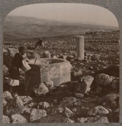 テコア遺跡、c1900 作： Unbekannt