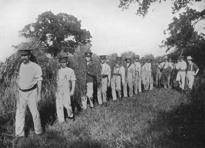 農場労働力の不足：収穫を支援する兵士、1915 作： Unbekannt