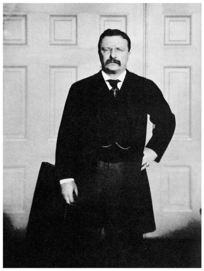 セオドアルーズベルト、第26代アメリカ合衆国大統領、c1900年代1955 作： Unbekannt