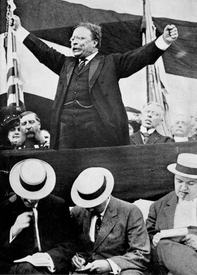 セオドア・ルーズベルト、アメリカ大統領、1901-1909 作： Unbekannt
