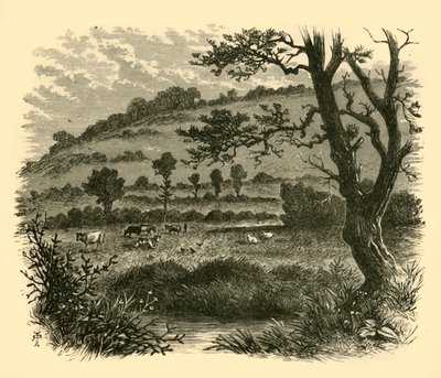 シスルドン、1898年。 作： Unbekannt