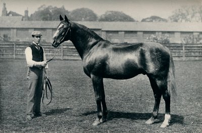 サラブレッド競走馬、ベンドOR、c1880 作： Unbekannt