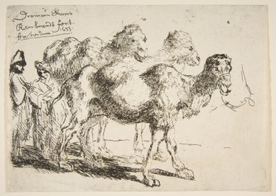 3つのDromedaries.nd 作： Unbekannt