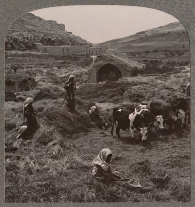 Jacobs Well、c1900の近くの脱穀粒 作： Unbekannt