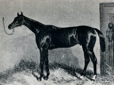 ティム・ウィフラー、c1860s、1911 作： Unbekannt