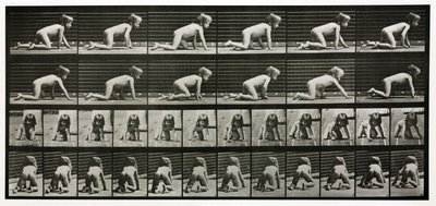 子供がハイハイする様子を撮影したタイムラプス写真 作： Unbekannt