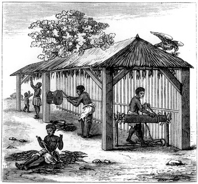 タバコの準備、1873 作： Unbekannt