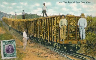 サトウキビの列車荷重、キューバ、1911 作： Unbekannt