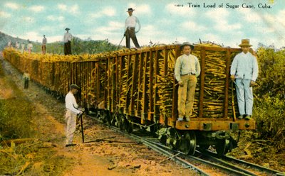 サトウキビ、キューバ、c1910の列車の負荷。 作： Unbekannt